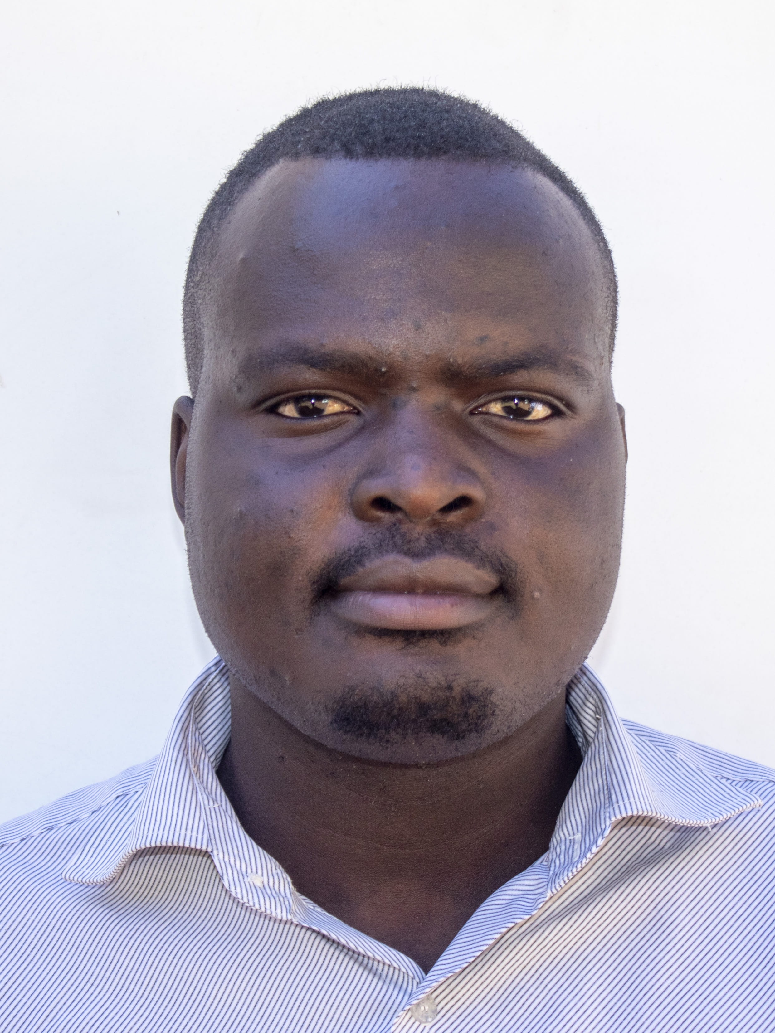 Panashe Mujeye